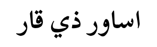 شركة اساور ذي قار
